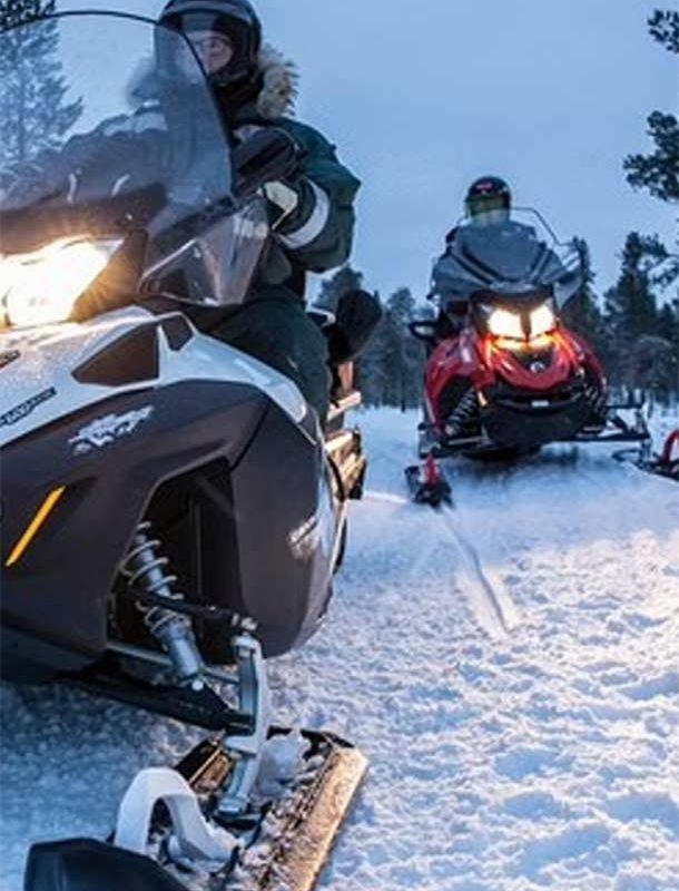 Snowmobile Safaris