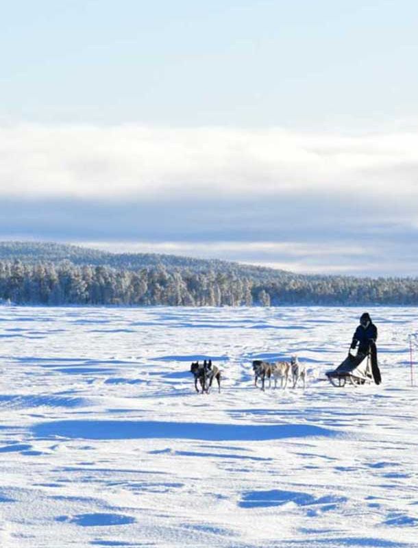 Husky Safaris